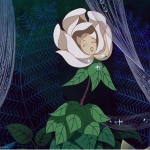 Meet your Posher, Brandi